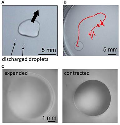 Ionic Tuning of Droplet Motion on Water Surface